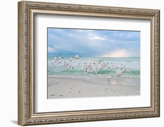 Hey! Wait for Me!-Mary Lou Johnson-Framed Photo