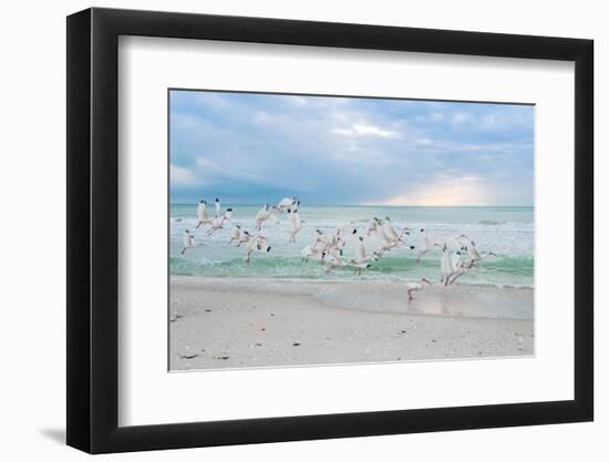 Hey! Wait for Me!-Mary Lou Johnson-Framed Photo