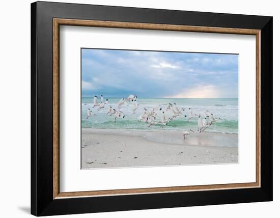 Hey! Wait for Me!-Mary Lou Johnson-Framed Photo