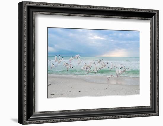 Hey! Wait for Me!-Mary Lou Johnson-Framed Photo