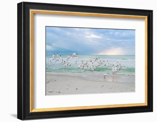 Hey! Wait for Me!-Mary Lou Johnson-Framed Photo