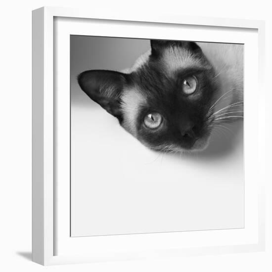 Hey!-Jon Bertelli-Framed Photographic Print