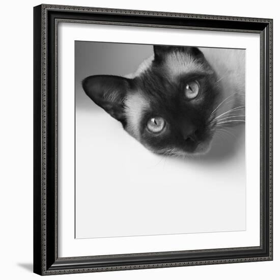 Hey!-Jon Bertelli-Framed Photographic Print