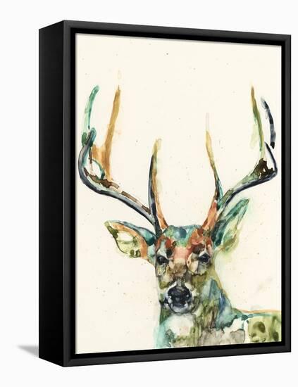 Hi Fi Wildlife II-Jennifer Goldberger-Framed Stretched Canvas