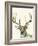 Hi Fi Wildlife II-Jennifer Goldberger-Framed Art Print