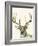 Hi Fi Wildlife II-Jennifer Goldberger-Framed Art Print