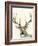 Hi Fi Wildlife II-Jennifer Goldberger-Framed Art Print