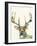 Hi Fi Wildlife II-Jennifer Goldberger-Framed Art Print