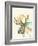 Hi Fi Wildlife IV-Jennifer Goldberger-Framed Art Print