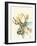 Hi Fi Wildlife IV-Jennifer Goldberger-Framed Art Print