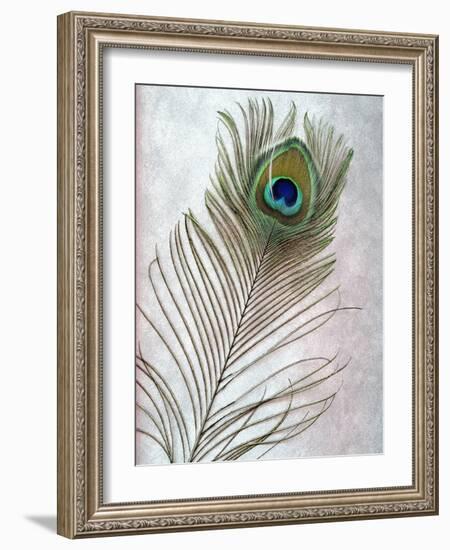 Hi Res-Alan Blaustein-Framed Photographic Print