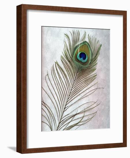 Hi Res-Alan Blaustein-Framed Photographic Print