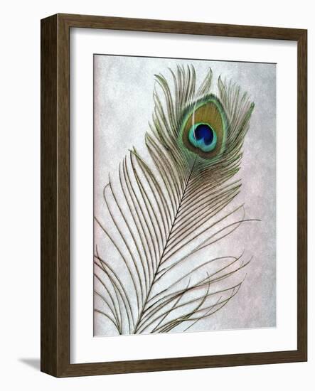 Hi Res-Alan Blaustein-Framed Photographic Print