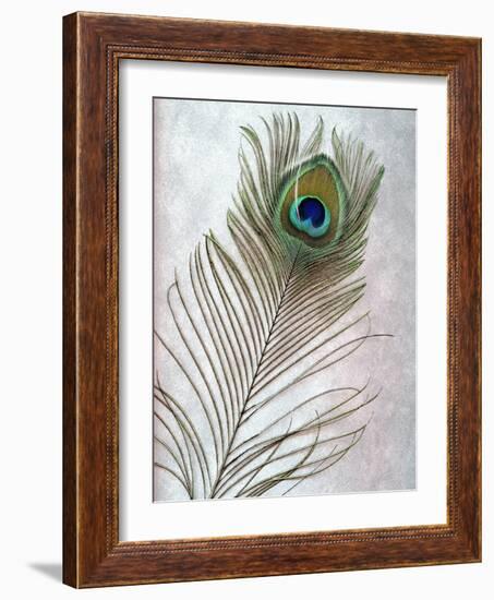 Hi Res-Alan Blaustein-Framed Photographic Print