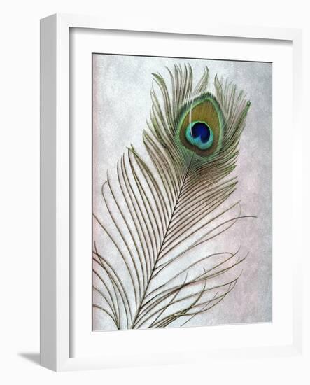 Hi Res-Alan Blaustein-Framed Photographic Print