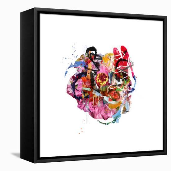 Hi-Alex Cherry-Framed Stretched Canvas