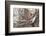 Hi-Dmitry Laudin-Framed Photographic Print