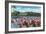 Hialeah, Florida - View of Flamingos outside the Hialeah Race Course-Lantern Press-Framed Art Print