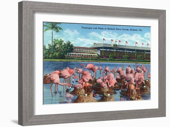 Hialeah, Florida - View of Flamingos outside the Hialeah Race Course-Lantern Press-Framed Art Print