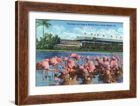 Hialeah, Florida - View of Flamingos outside the Hialeah Race Course-Lantern Press-Framed Art Print