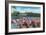 Hialeah, Florida - View of Flamingos outside the Hialeah Race Course-Lantern Press-Framed Art Print