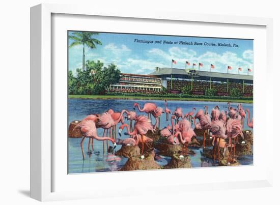 Hialeah, Florida - View of Flamingos outside the Hialeah Race Course-Lantern Press-Framed Art Print