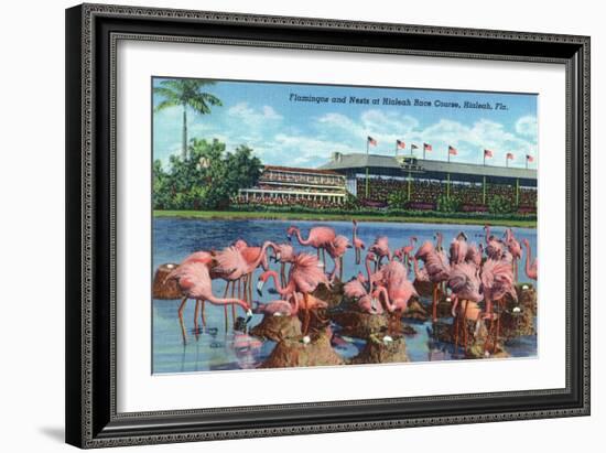 Hialeah, Florida - View of Flamingos outside the Hialeah Race Course-Lantern Press-Framed Art Print