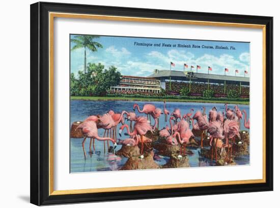 Hialeah, Florida - View of Flamingos outside the Hialeah Race Course-Lantern Press-Framed Art Print