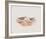 Hiaticula Inornata-John Gould-Framed Giclee Print