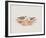 Hiaticula Inornata-John Gould-Framed Giclee Print