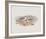 Hiaticula Ruficapilla-John Gould-Framed Giclee Print