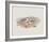 Hiaticula Ruficapilla-John Gould-Framed Giclee Print