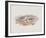 Hiaticula Ruficapilla-John Gould-Framed Giclee Print