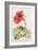 Hibiscus, 1992-Alison Cooper-Framed Giclee Print