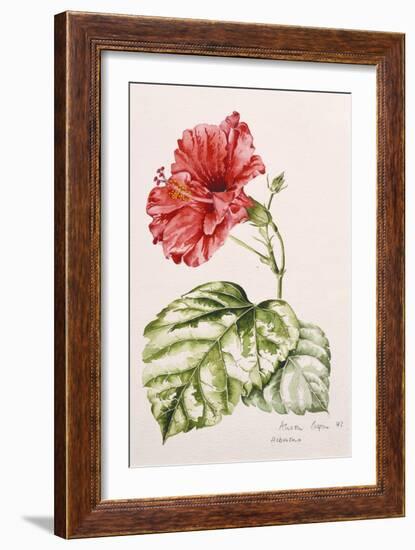 Hibiscus, 1992-Alison Cooper-Framed Giclee Print