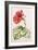 Hibiscus, 1992-Alison Cooper-Framed Giclee Print