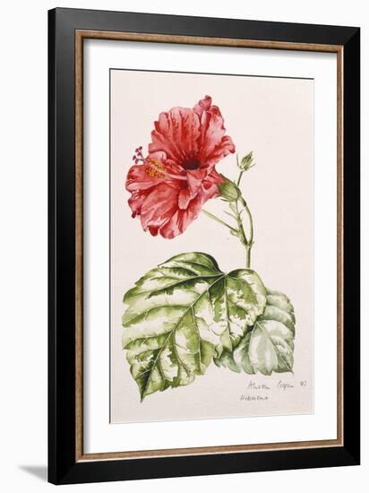 Hibiscus, 1992-Alison Cooper-Framed Giclee Print