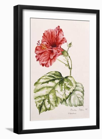 Hibiscus, 1992-Alison Cooper-Framed Giclee Print