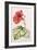 Hibiscus, 1992-Alison Cooper-Framed Giclee Print