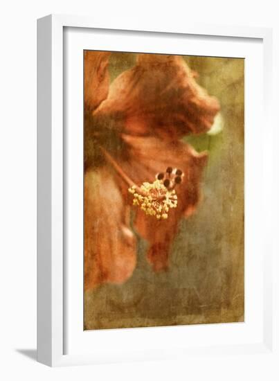 Hibiscus 1-Thea Schrack-Framed Giclee Print