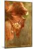Hibiscus 1-Thea Schrack-Mounted Giclee Print