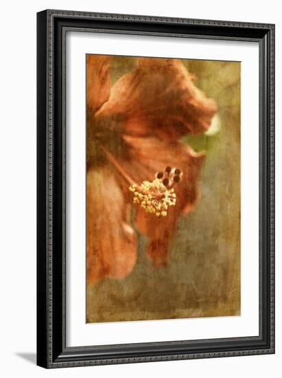 Hibiscus 1-Thea Schrack-Framed Giclee Print