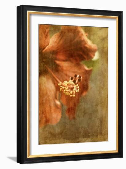 Hibiscus 1-Thea Schrack-Framed Giclee Print