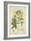 Hibiscus Abelmosehus Linn, 1800-10-null-Framed Giclee Print