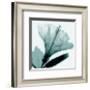 Hibiscus and Bud-Steven N^ Meyers-Framed Art Print
