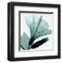 Hibiscus and Bud-Steven N^ Meyers-Framed Art Print