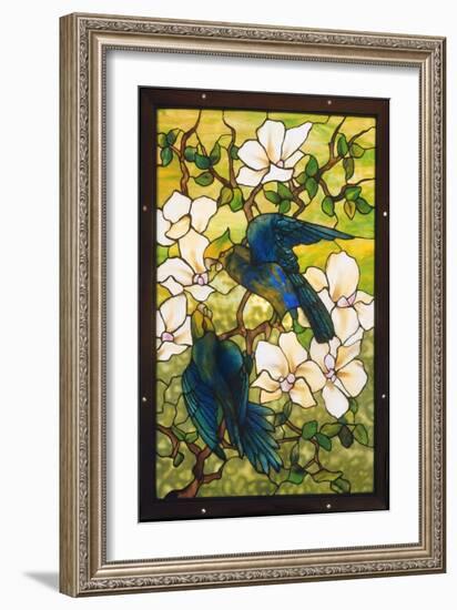 Hibiscus and Parrots, C.1910-20 (Leaded Fravile Glass)-Louis Comfort Tiffany-Framed Giclee Print