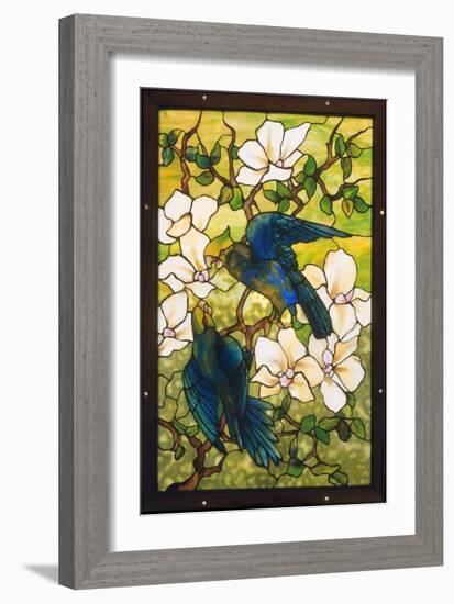 Hibiscus and Parrots, C.1910-20 (Leaded Fravile Glass)-Louis Comfort Tiffany-Framed Giclee Print