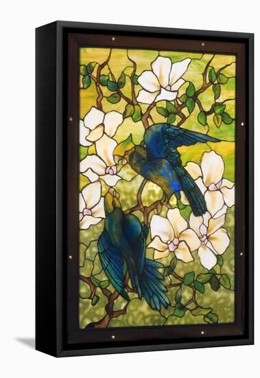 Hibiscus and Parrots, C.1910-20 (Leaded Fravile Glass)-Louis Comfort Tiffany-Framed Premier Image Canvas