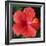 Hibiscus Bloom-Herb Dickinson-Framed Photographic Print